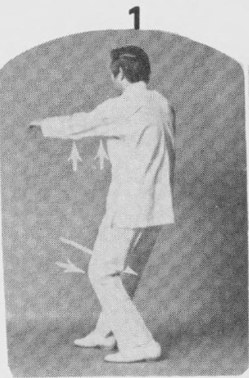 Tư thế 1