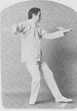 Tư thế 2