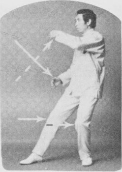 Tư thế 2