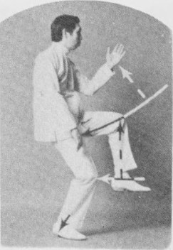 Tư thế 2