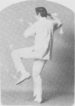 Tư thế 1