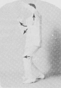 Tư thế 6