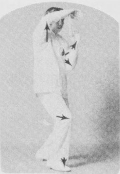 Tư thế 4