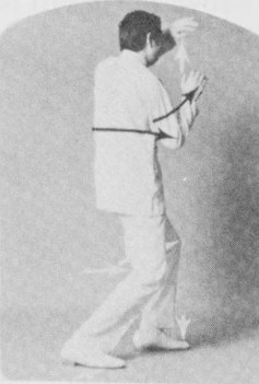 Tư thế 4