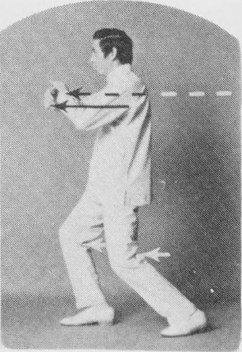 Tư thế 2