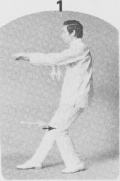Tư thế 1