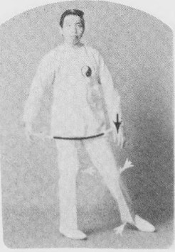 Tư thế 2