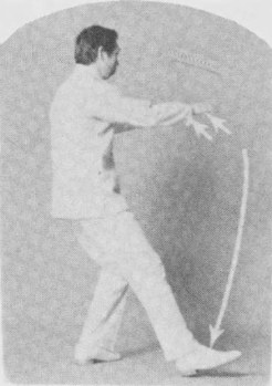 Tư thế 1
