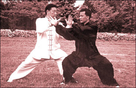 Hình minh họa 29
