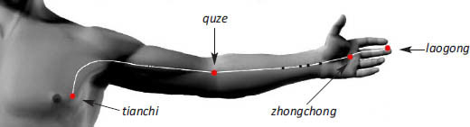Hình minh họa 6