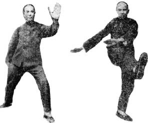 Trần Chiếu Phi