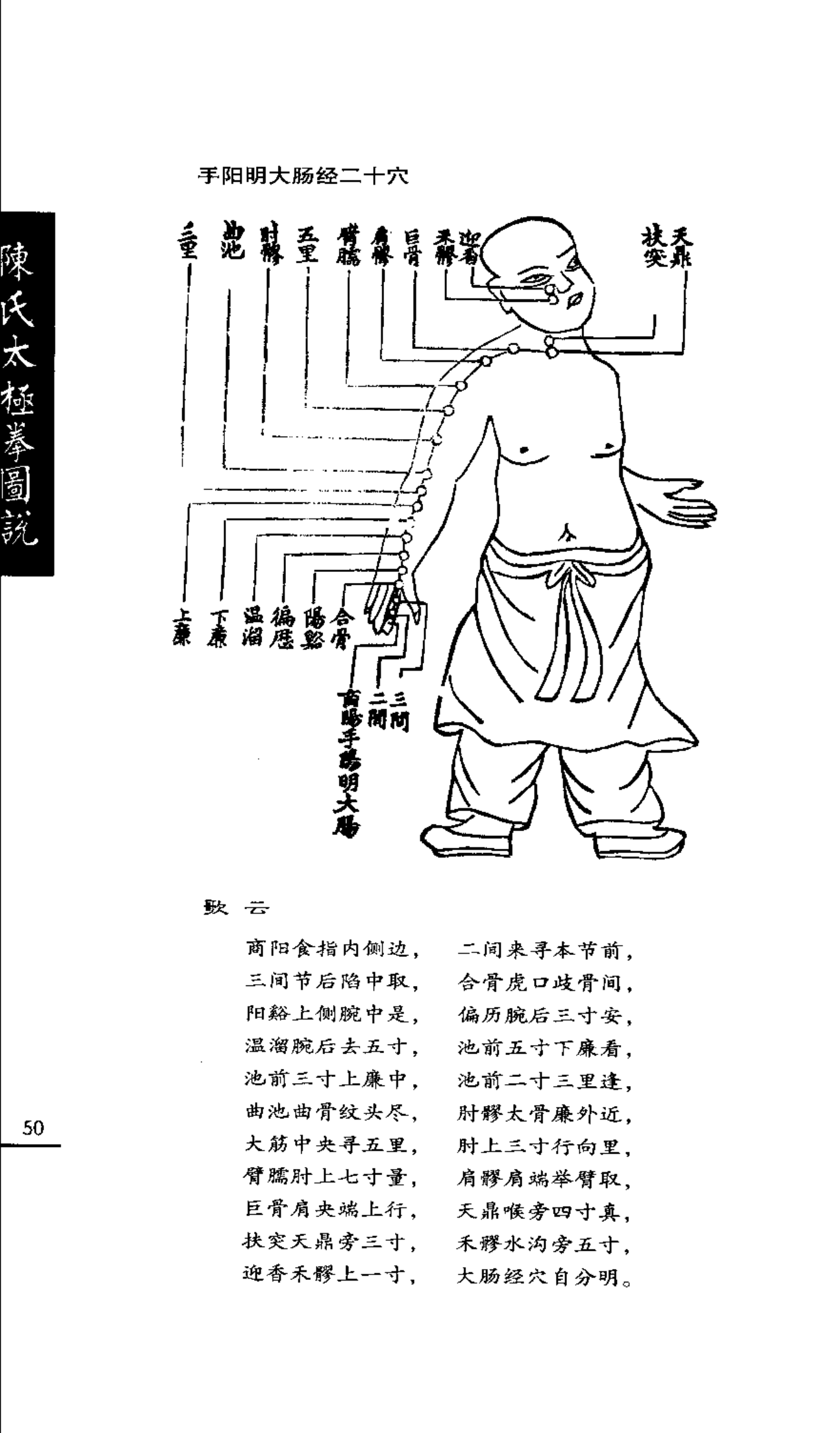 Túc Dương Minh Vị Kinh