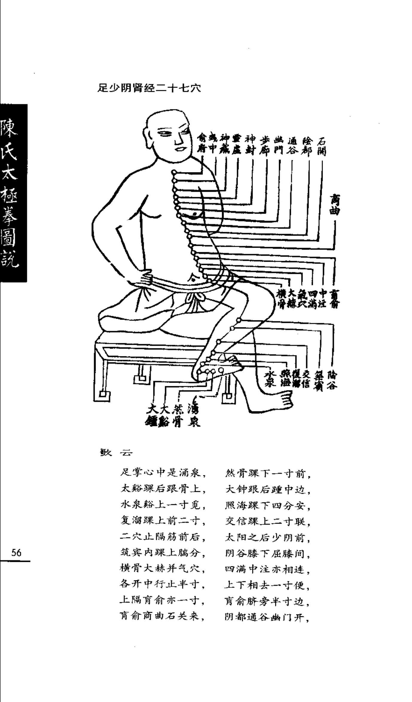 Túc Thái Dương Bàng Quang Kinh