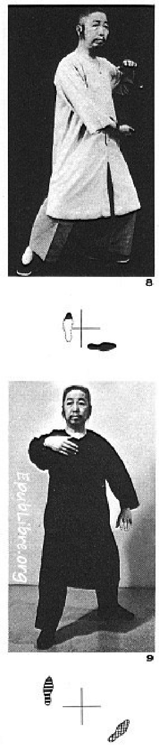 Tư thế 3 &mdash; Lãm Tước Vĩ, Bằng, Trái (Ảnh 8 & 9)