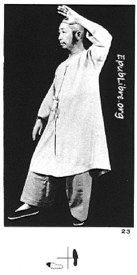 Tư thế 11 &mdash; Bạch Hạc Xoè Cánh (Ảnh 23)