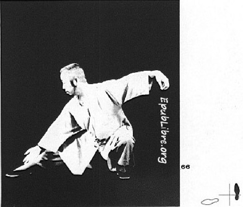 Tư thế 24 &mdash; Đan Tiên Hạ Thế (Ảnh 66)