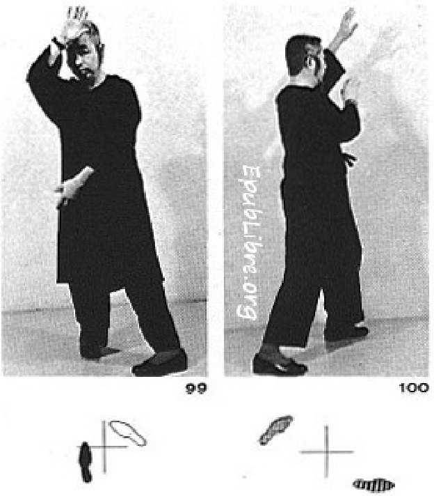 Tư thế 33C &mdash; trở về Bằng, Trái (Ảnh 101 & 102)