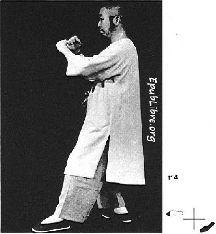 Tư thế 34 &mdash; Thượng Bộ Thất Tinh (Ảnh 114)