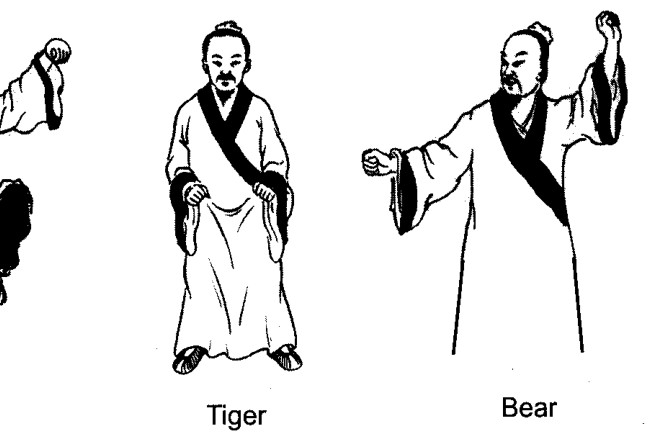 Ngũ Cầm Hí của Hoa Đà