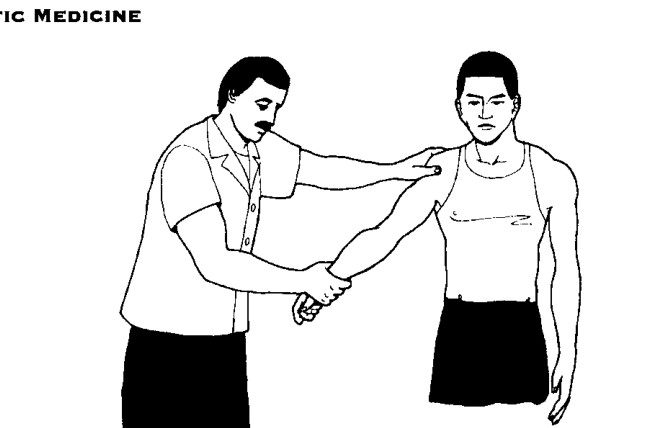 Năm nhánh chính của xoa bóp Trung Quốc