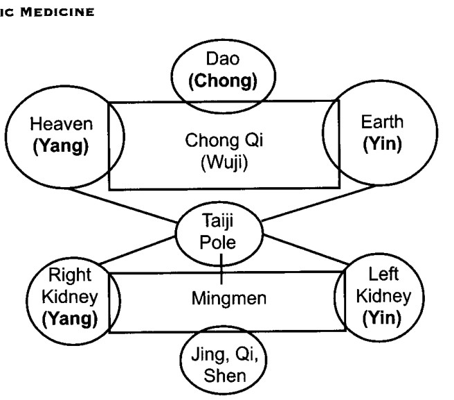 Những mối quan hệ Nguyên thủy với các tương ứng năng lượng ở người