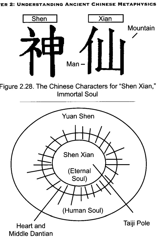 Thần Tiên bắt rễ vào vùng Tâm và Trung Đan Điền của cá nhân bằng một sợi dây bạc, mà bản thân sợi dây này bắt rễ trong Thái Cực Trụ của cơ thể