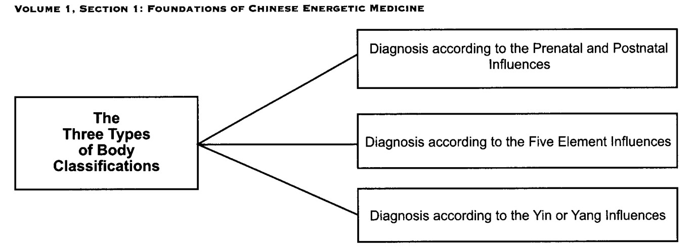Ba cách phân loại cơ thể theo các thầy thuốc cổ Trung Hoa