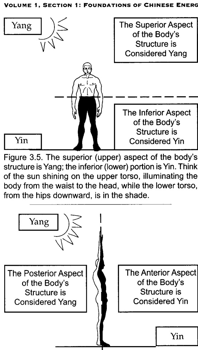 Phương diện sau của cơ thể là Dương, phương diện trước là Âm