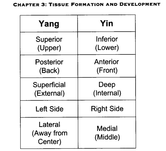 Bảng các phương diện giải phẫu Âm và Dương của cơ thể