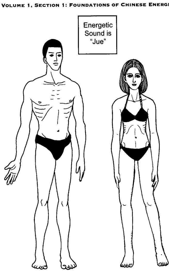 Sơ đồ đặc điểm Bản tính Dương Mộc