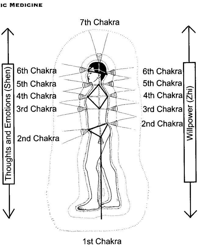 Thái Cực Trụ và các trường năng lượng của chín luân xa