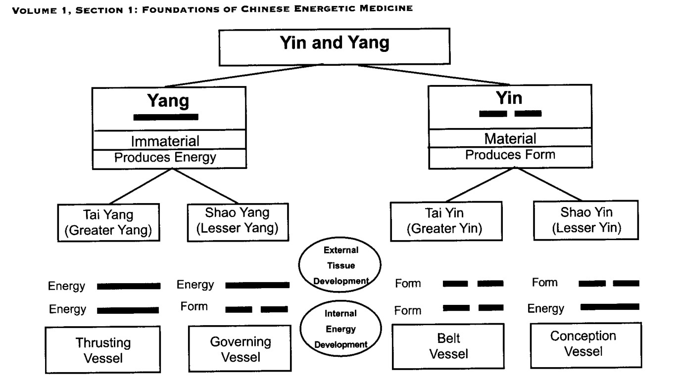 Quan niệm Đạo gia cổ đại về Âm và Dương biểu hiện Bốn Pha của năng lượng vũ trụ