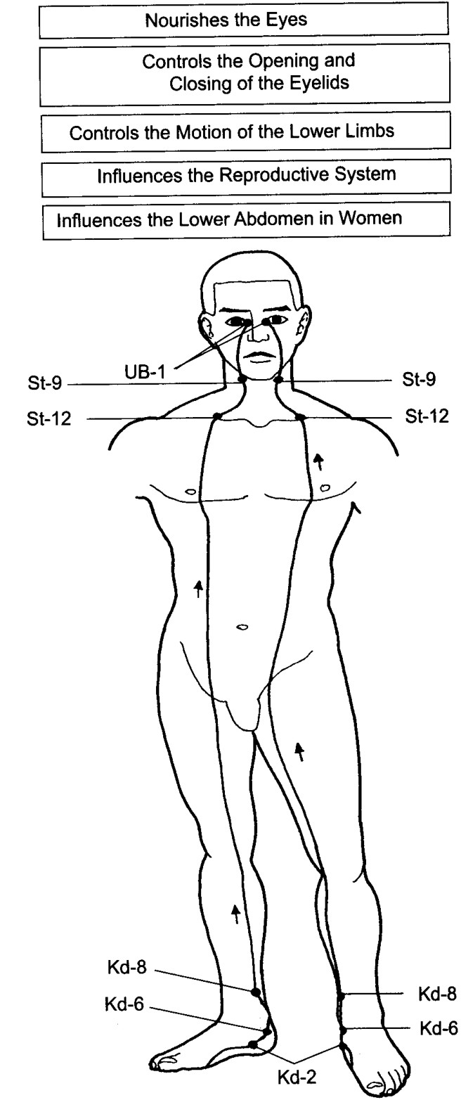 Các Mạch Âm Kiều