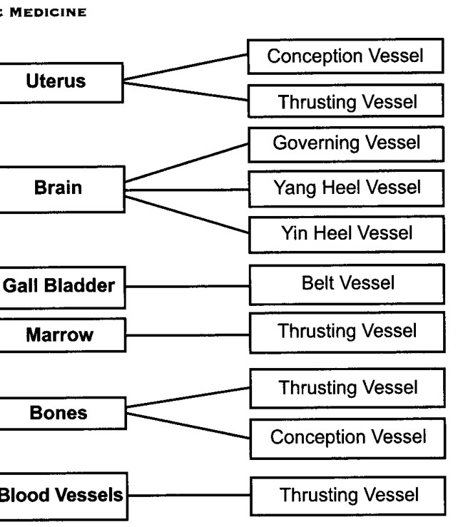 Bát Mạch Kỳ Kinh điều hòa dòng năng lượng bên trong của Sáu Tạng Kỳ Dị