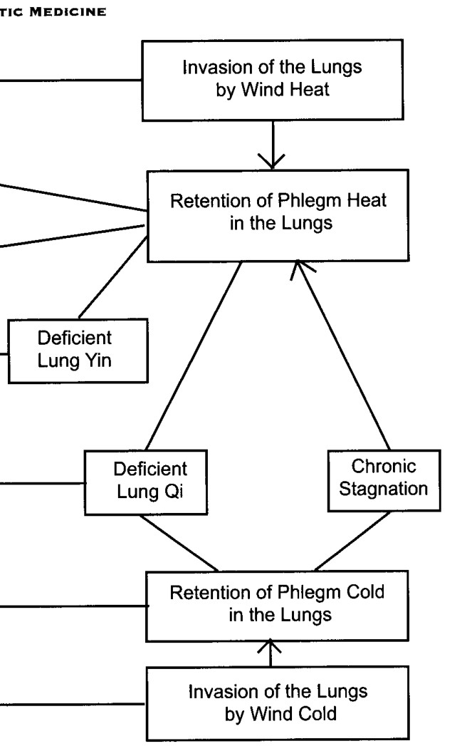 Nguồn gốc của sự mất hòa hợp Phế