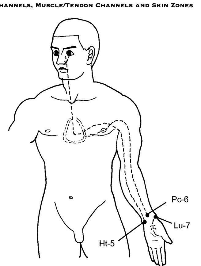 Ba mạch lạc Âm ở tay và các huyệt Lạc trên kinh Tâm, Tâm Bào và Phế