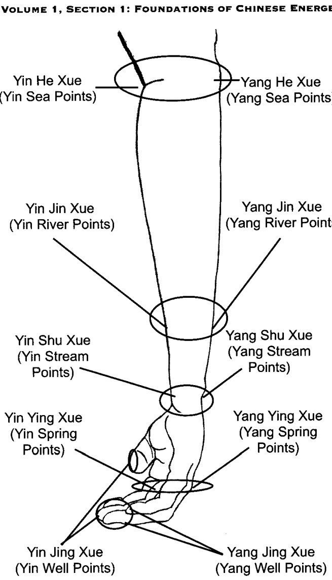 Ngũ Du Huyệt và sự tương ứng với dòng chảy kinh ở tay