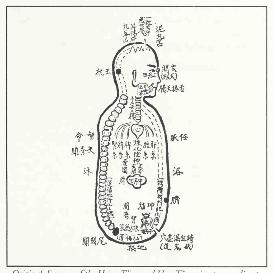 Sơ đồ gốc vòng tuần hoàn Tiên Thiên và Hậu Thiên theo phái Long Môn
