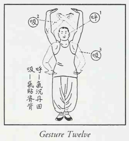 Tranh vẽ nét thức thứ mười hai của Thái Cực Khí Công