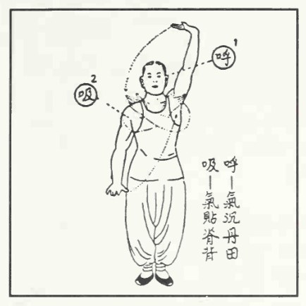 Tranh vẽ nét thức thứ mười sáu của Thái Cực Khí Công