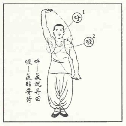 Tranh vẽ nét thức thứ mười bảy của Thái Cực Khí Công
