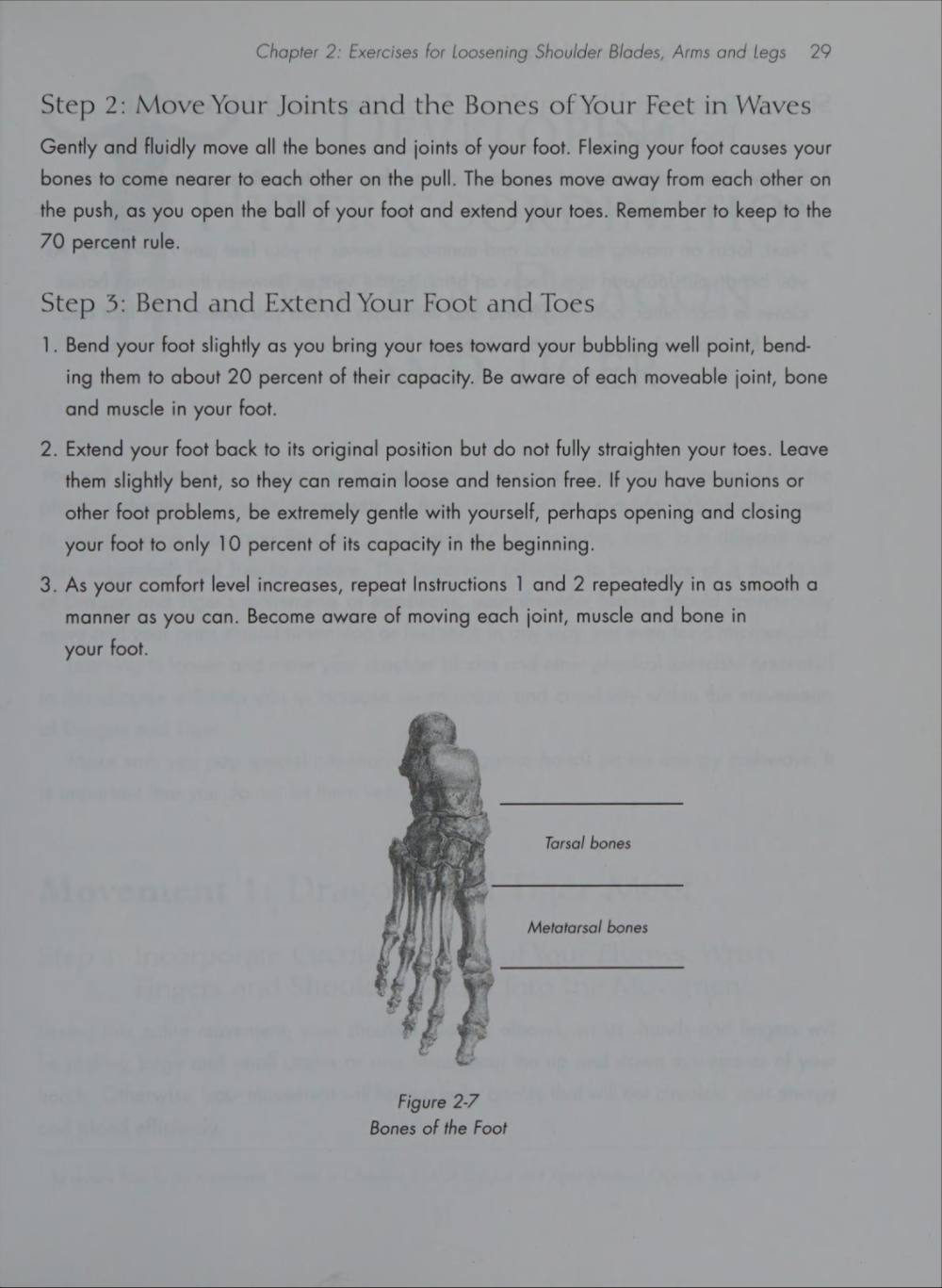 Hình 2-7 — Các xương của bàn chân: xương cổ chân (tarsal) và xương bàn chân (metatarsal)