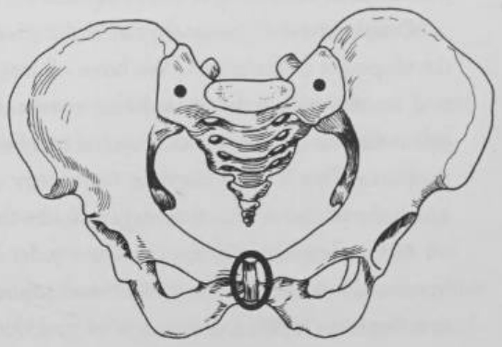 figure 8-11