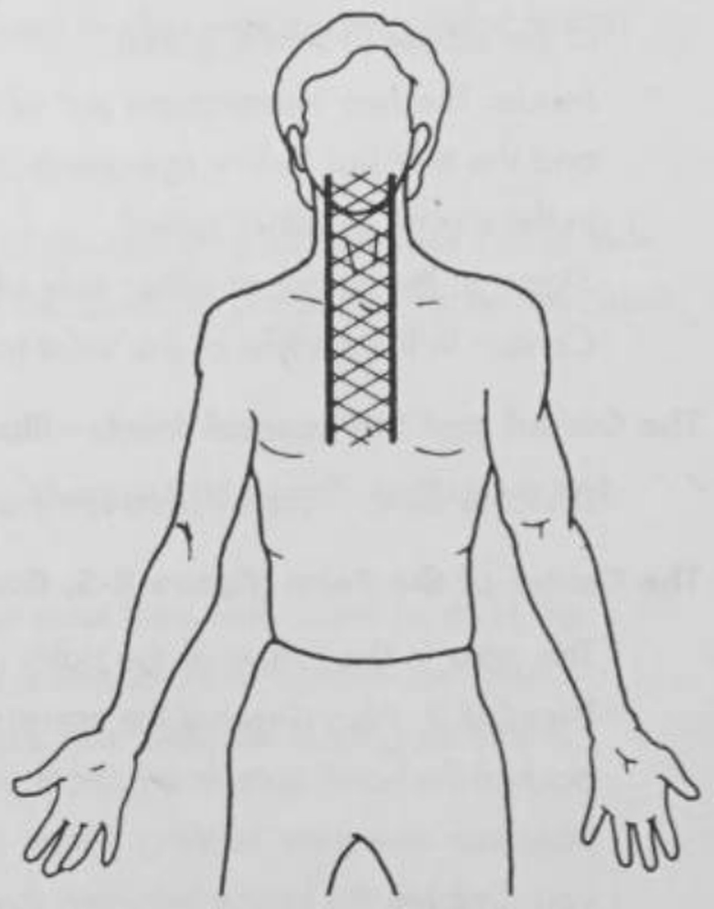 figure 8-4