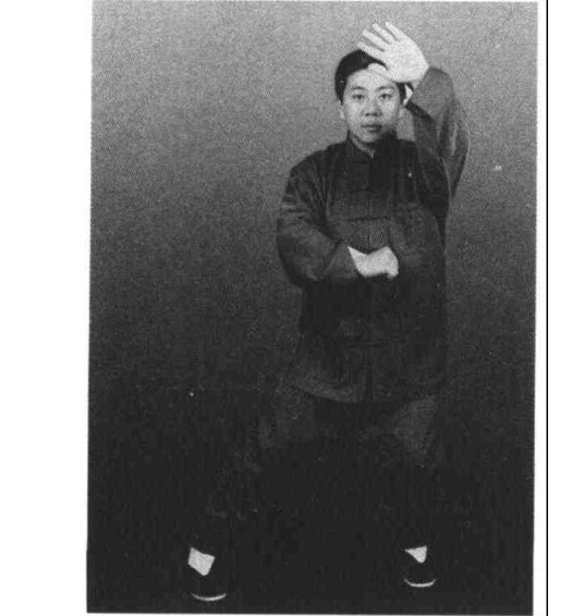 图 198B