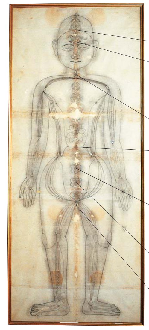 Yogacharya Iyengar trong pranayama