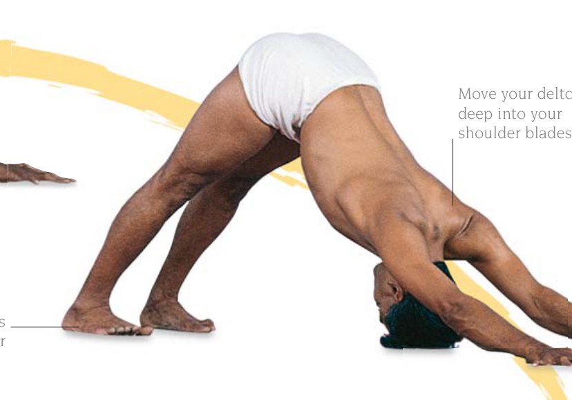 Adhomukha Svanasana — đẩy hai chân ra xa thân thể