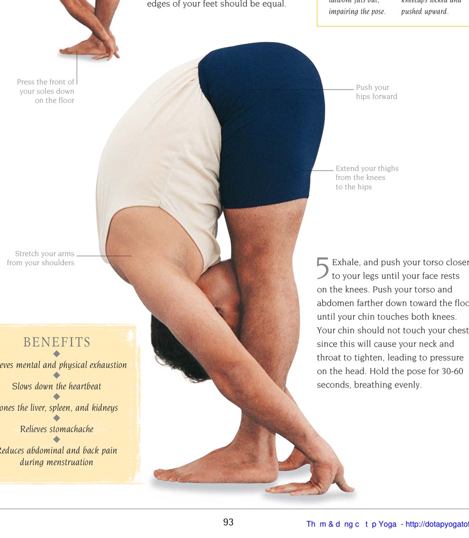 Adhomukha Svanasana — giữ hai đùi song song với nhau