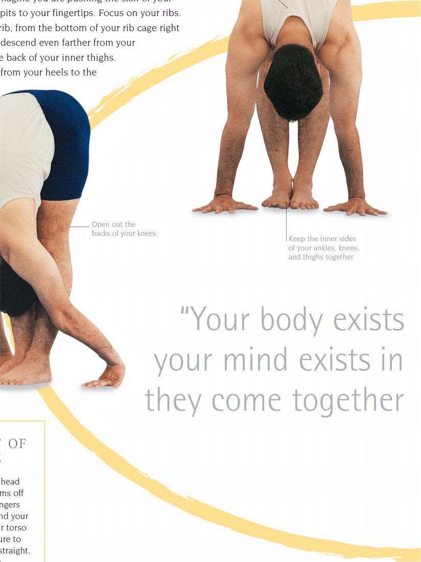Adhomukha Svanasana — không nén cột sống
