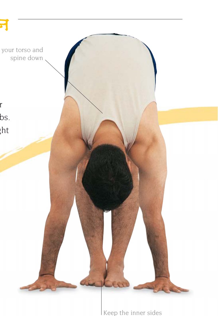 Adhomukha Svanasana — đưa cơ delta vào sâu trong xương bả vai